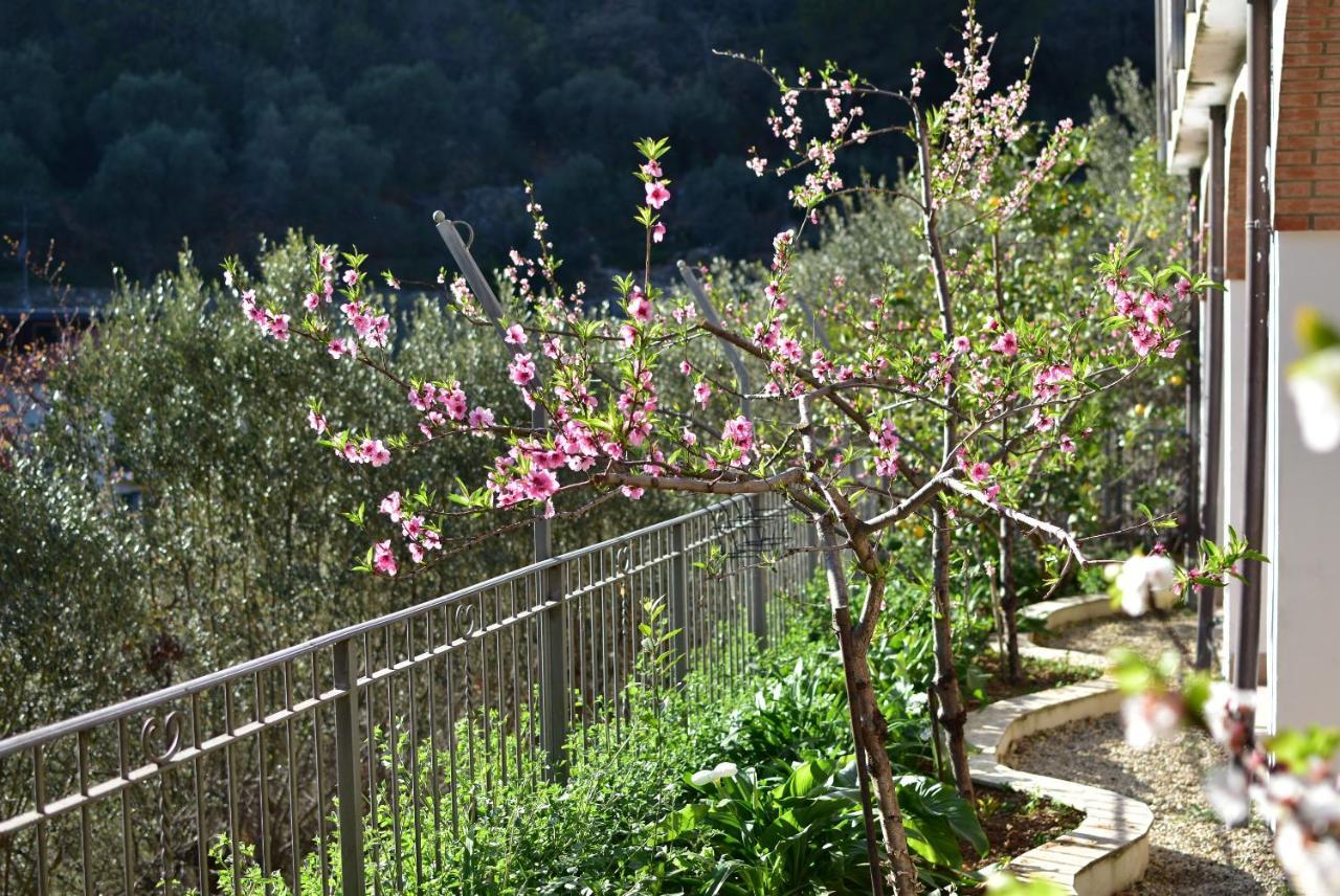 Casa Ninin Apartment Alassio